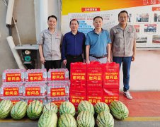 政府送清涼到企業
